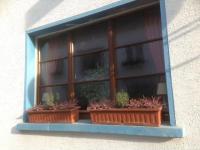 holzfenster-braun-mit-neun-ausschnitten-in-hochheim 