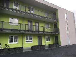 fenster-in-weiß-und-haustueren-in-anthrazit-mit-lichtausschnitt