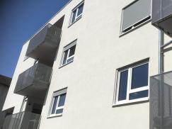 fenster-weiß-mit-grauen-rolllaeden 